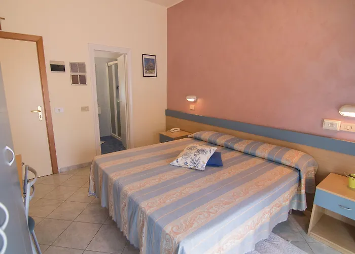 Solidea 3*