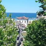Solidea