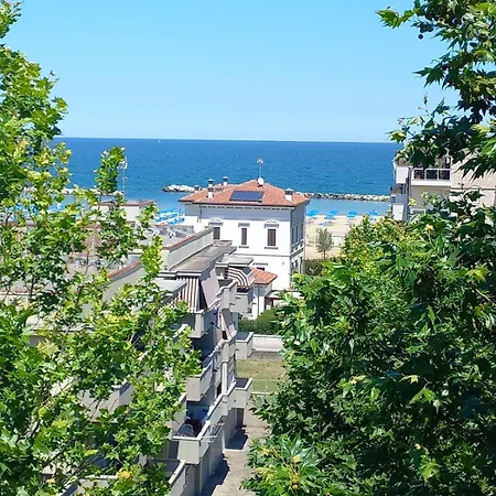 Solidea