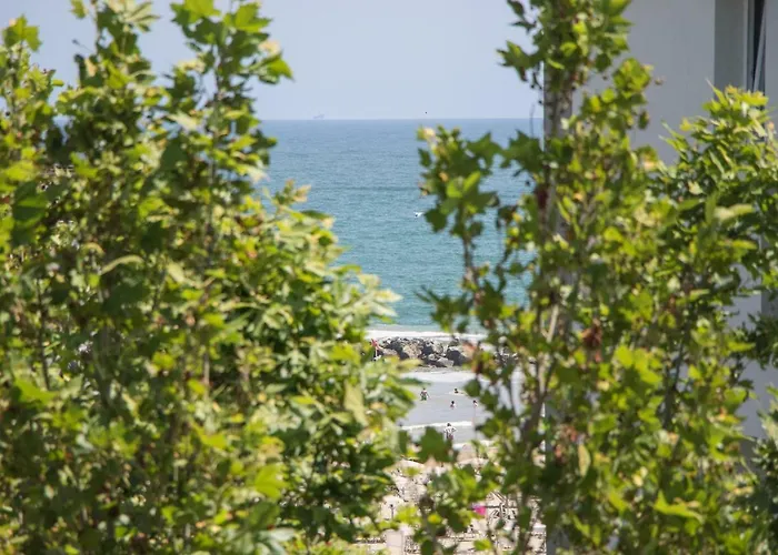 Solidea Hotell Rimini