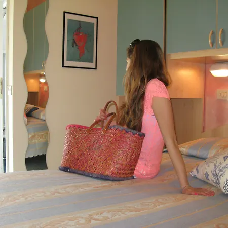 索类迪雅酒店 3* 里米尼